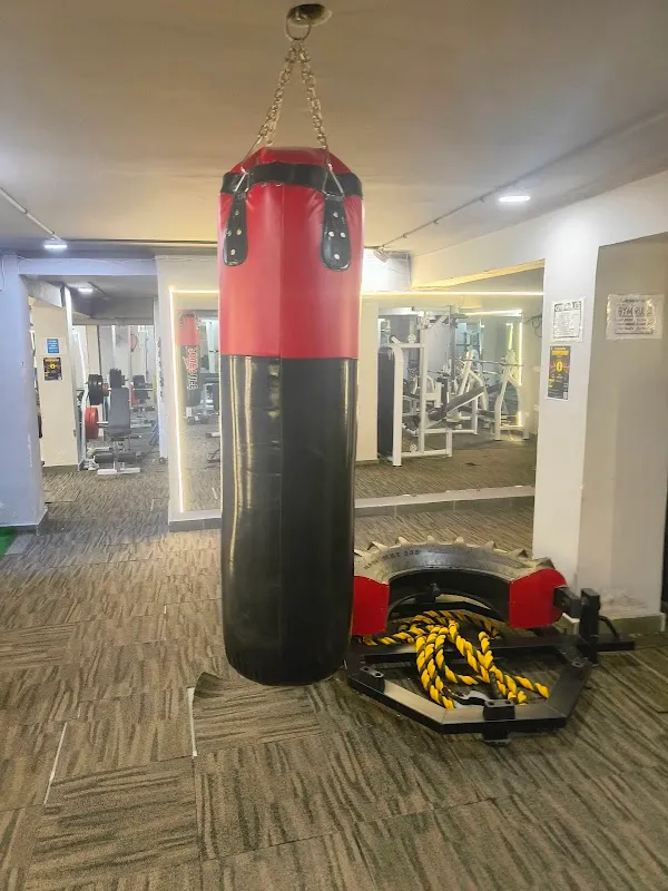 Strength Arena Gym