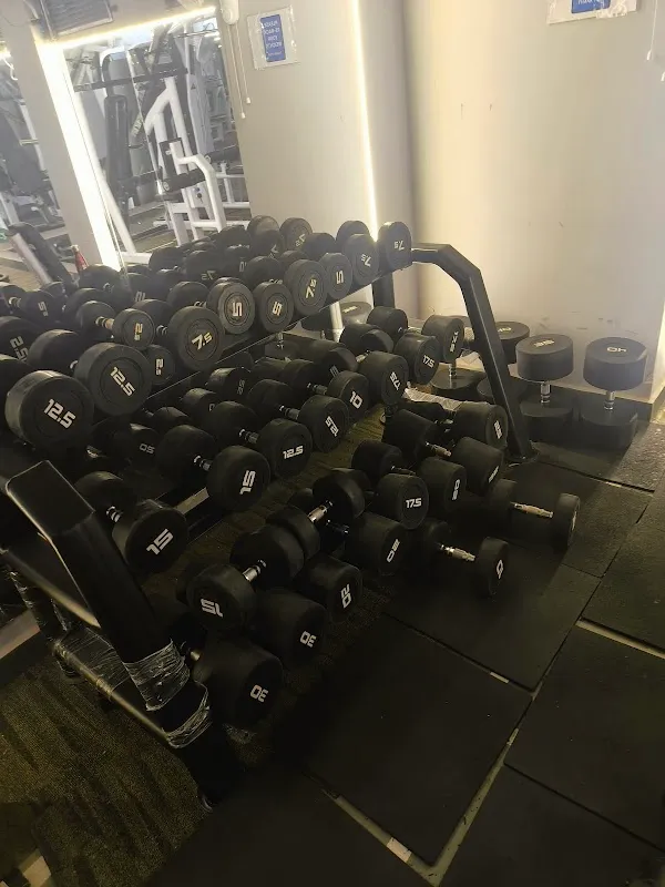 Strength Arena Gym