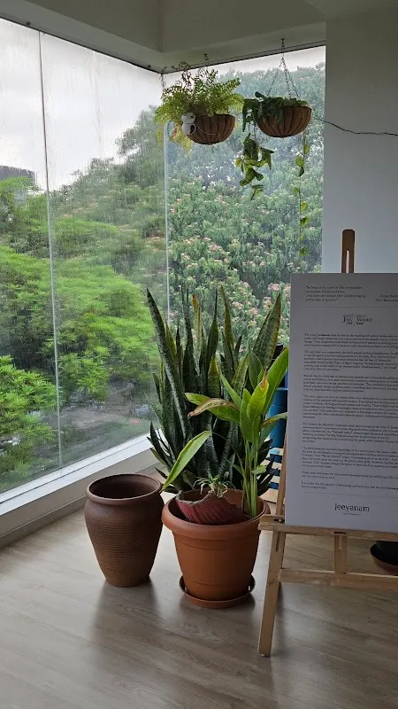 Jeevanam Yoga and Well-being Space