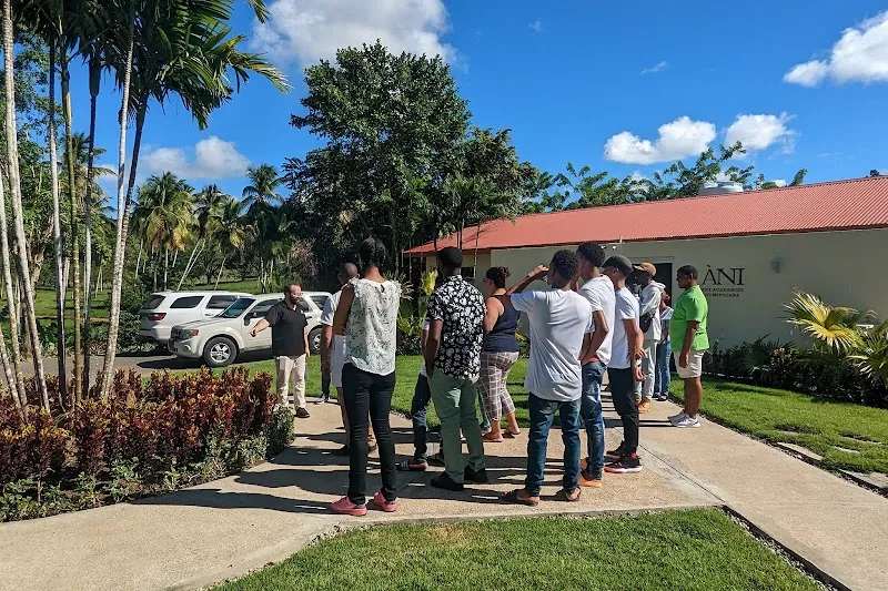 ÀNI Art Academies - Dominicana