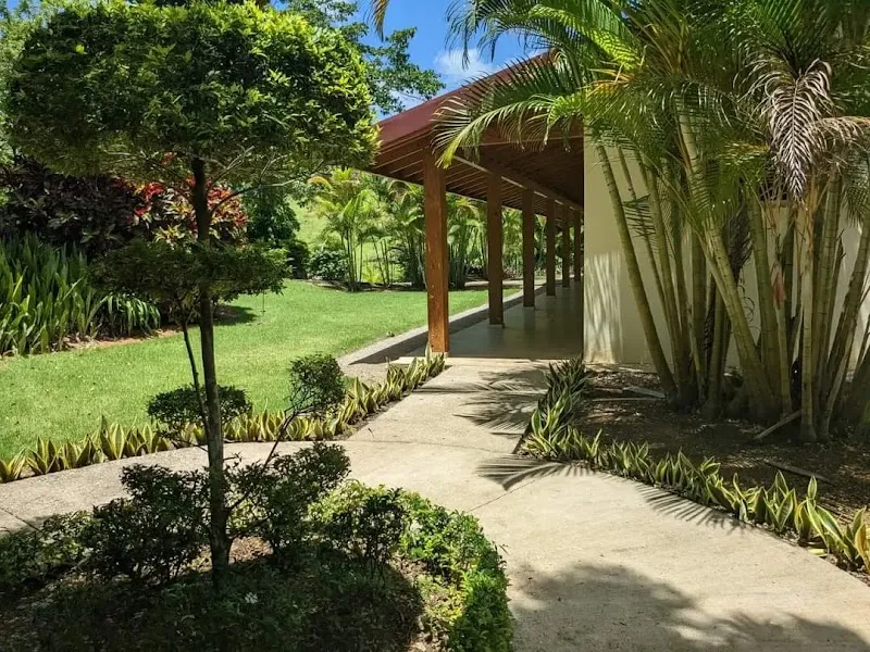 ÀNI Art Academies - Dominicana