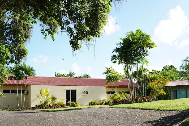 ÀNI Art Academies - Dominicana