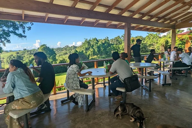 ÀNI Art Academies - Dominicana