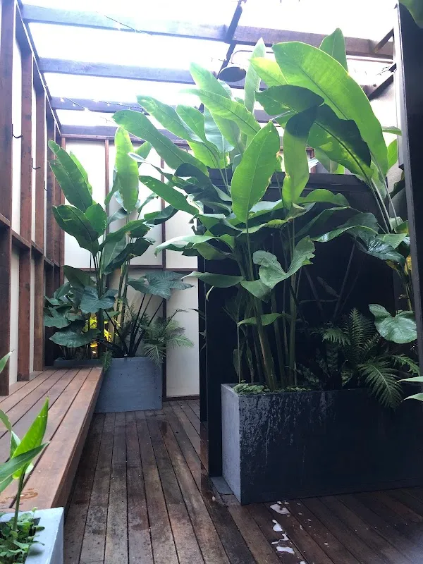 Pilgrim Hot Yoga | South Brisbane