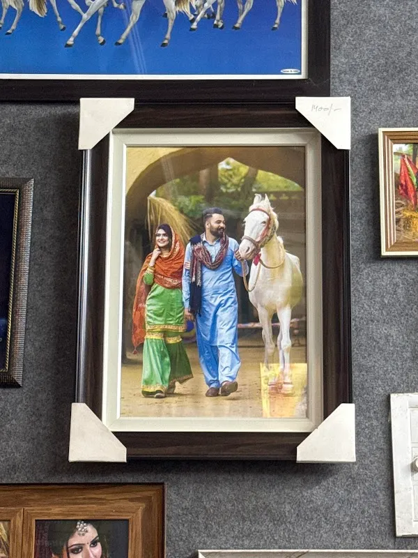 Om Sai Studio & Digital Colour Lab