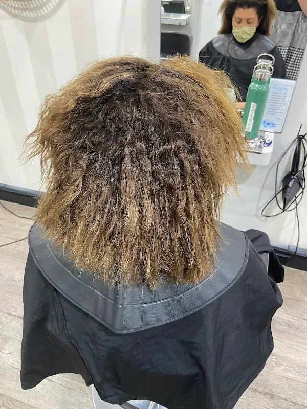 Lush Hair & Beauty