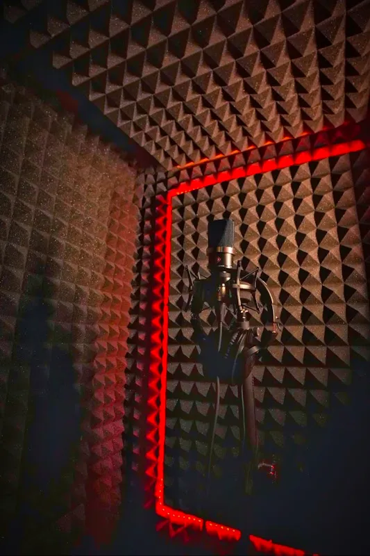 kavi studio