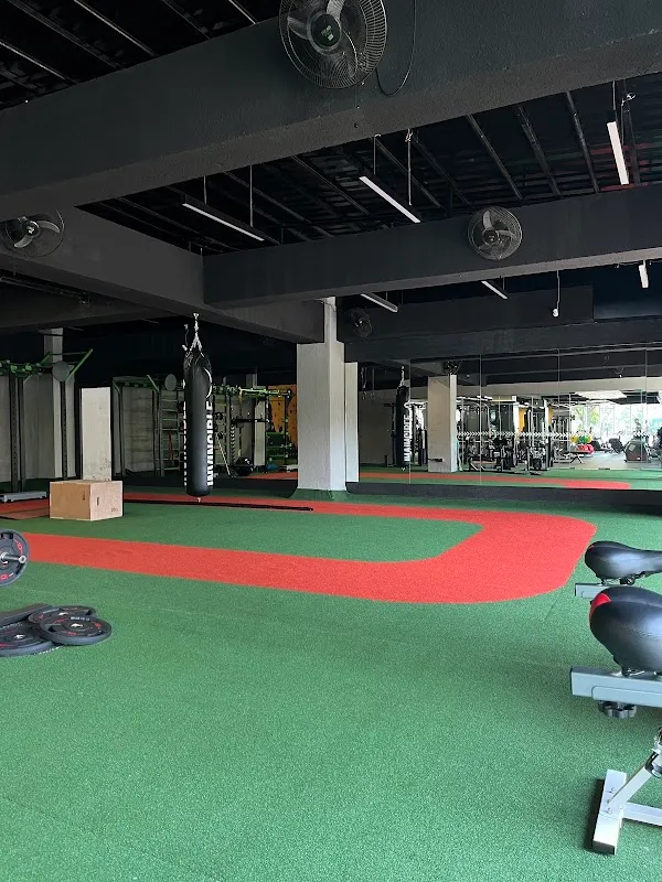 ZenXFit