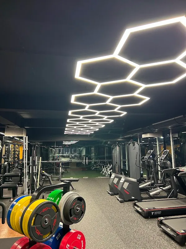 ZenXFit