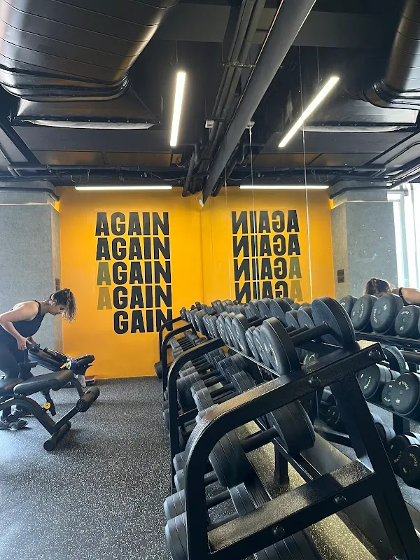 ZenXFit