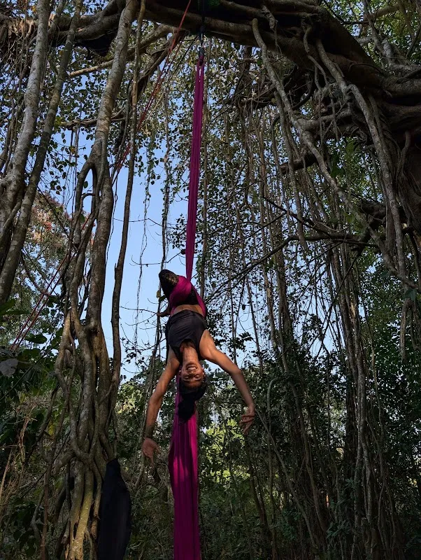 OM Studio Agonda - Aerial Yoga and Sound Healing in Goa
