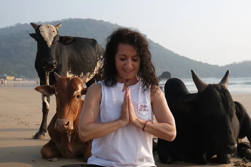 OM Studio Agonda - Aerial Yoga and Sound Healing in Goa
