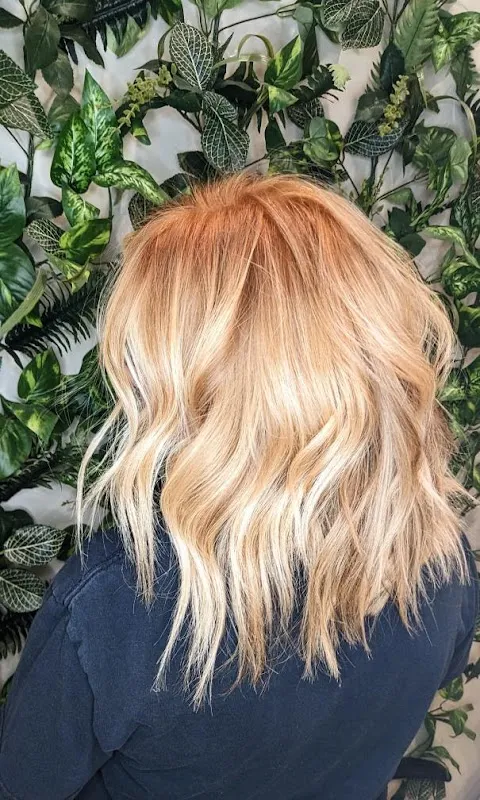 Salon Poppy