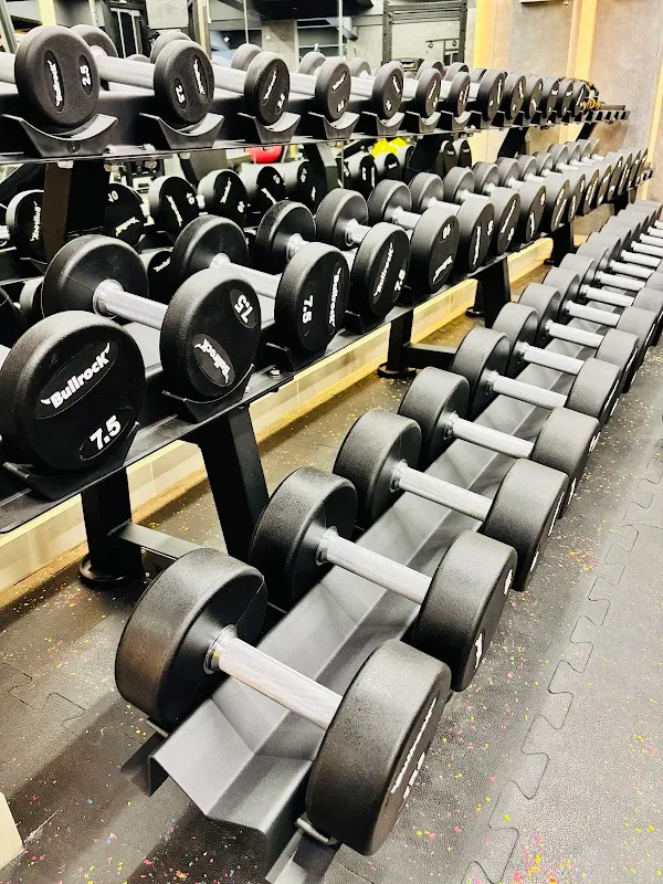 Lifestyle Reset Fitness Studio and gym