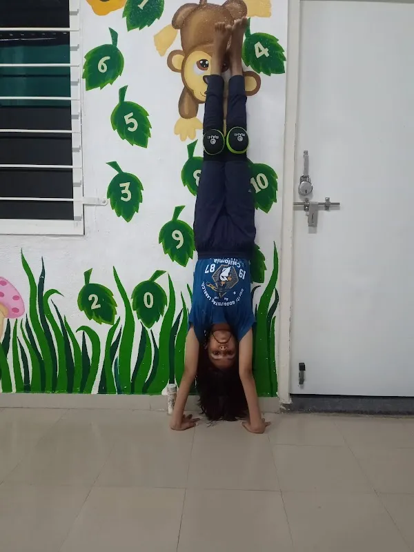 Terrific Dance Academy