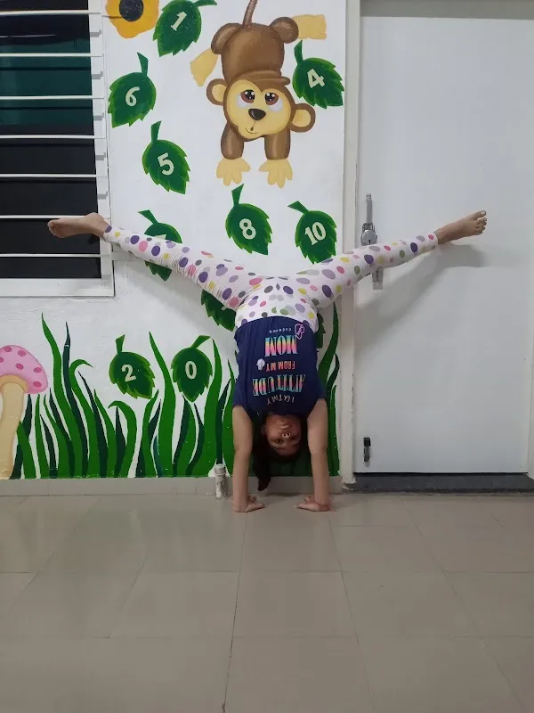 Terrific Dance Academy