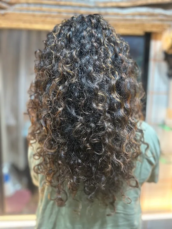 Curls and comb studio