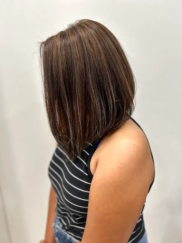 Curls and comb studio