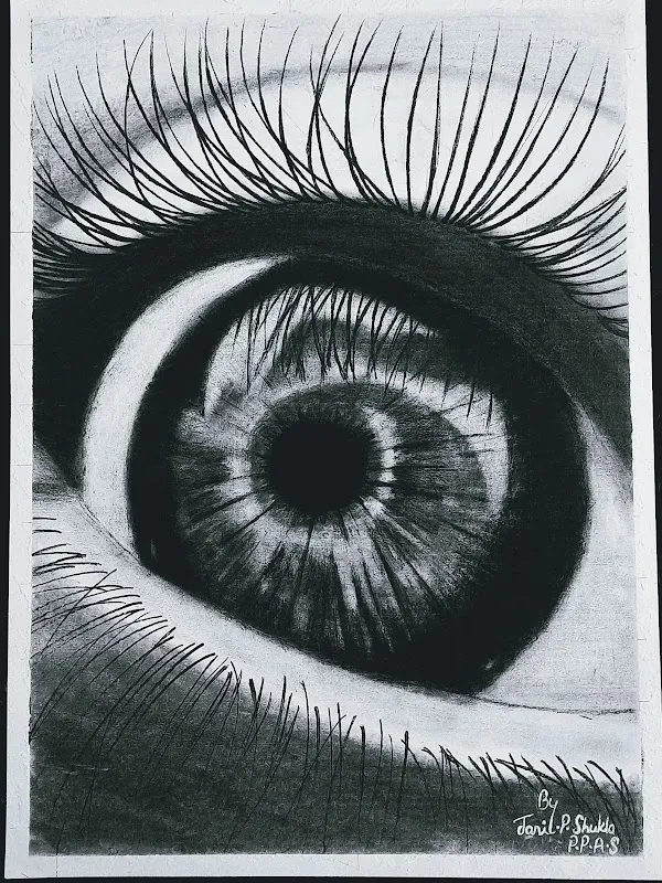 Perfect Pencils Art Studio Janil Shukla