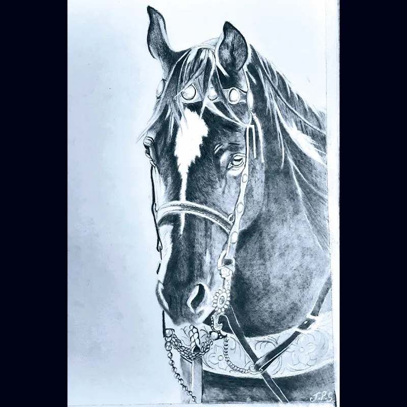 Perfect Pencils Art Studio Janil Shukla