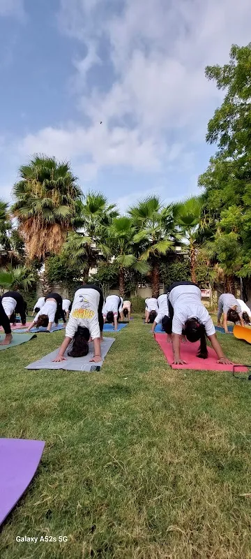 Mahayoga by Soham