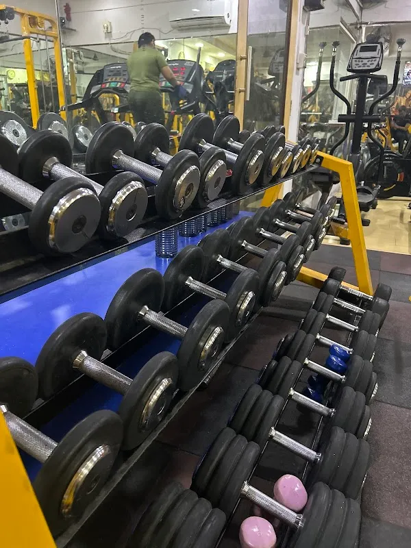 Lifestyle Fitness