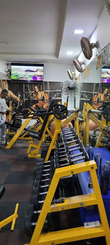 Lifestyle Fitness