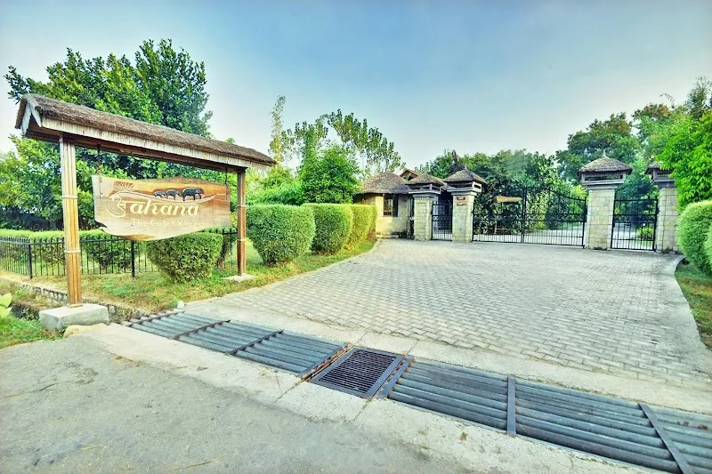Ajanta Digital Studio