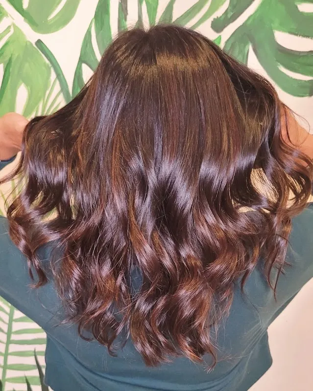 Salon Vibe