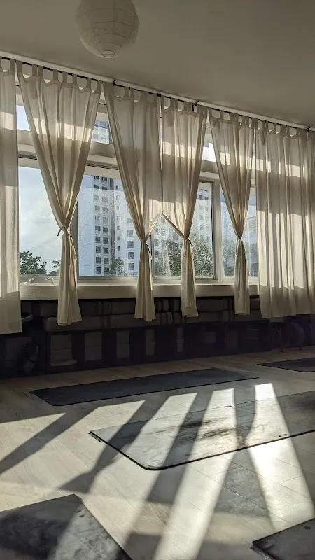 Align Studio