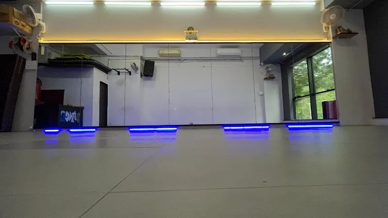 ✅IMAD School Of Performing Arts- Best Dance Class in Kandivali - Mumbai |Studio on Rent | Zumba class| Choreographers| Mumbai