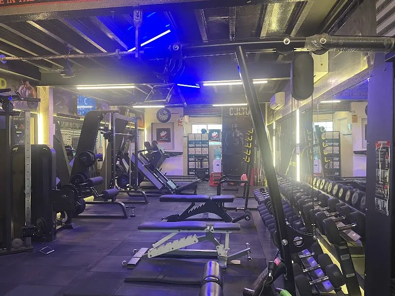 Culture Fitness