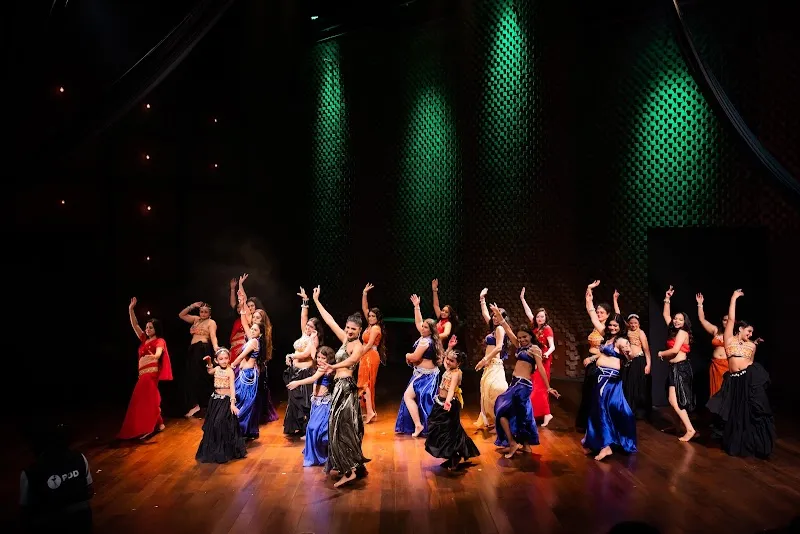 AerialBelly Dance Studio