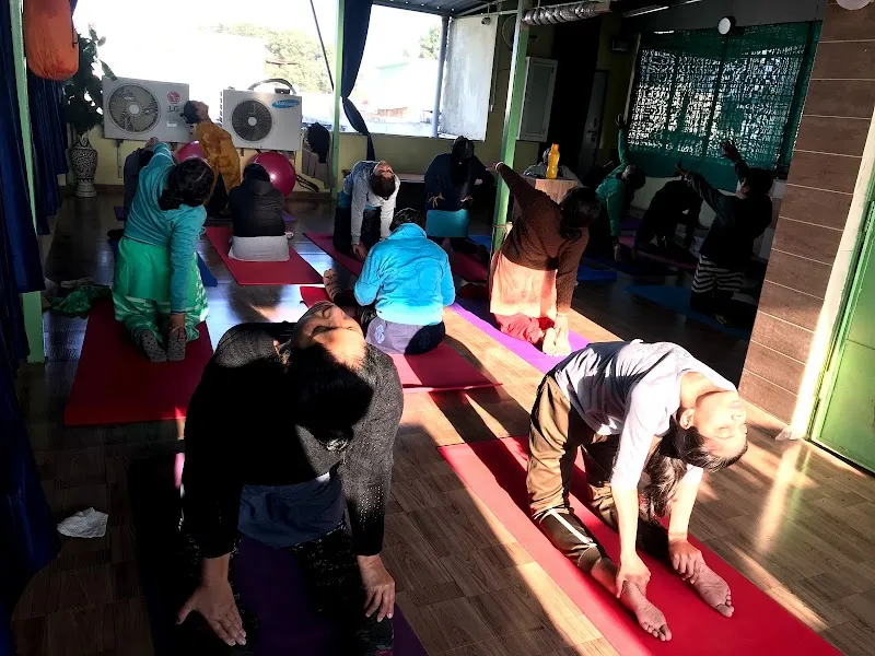 Yoga Therapy Kendra