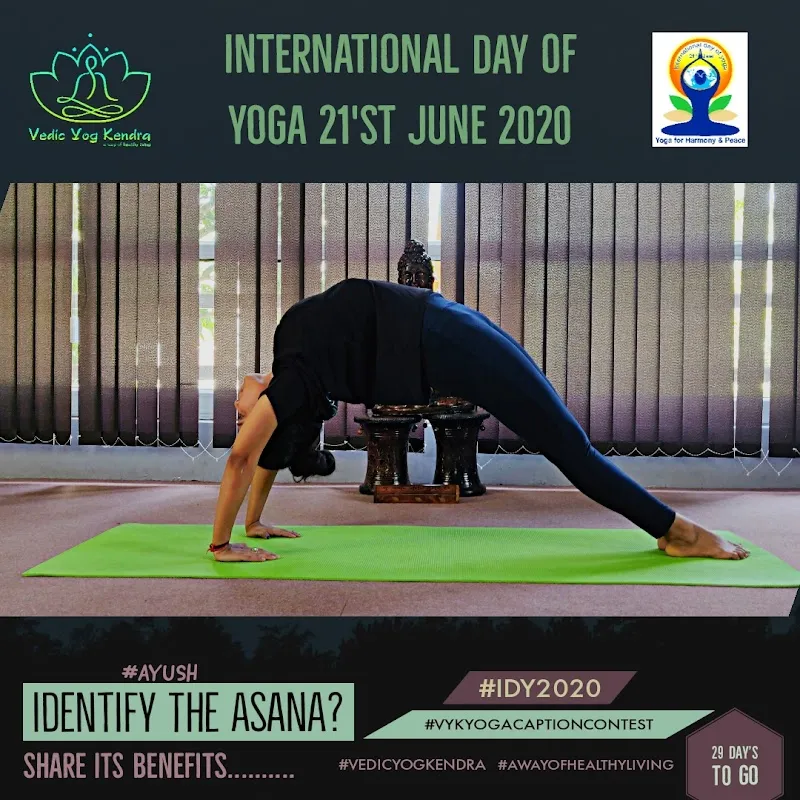 Vedic Yog Kendra ( Yoga and Wellness Studio )