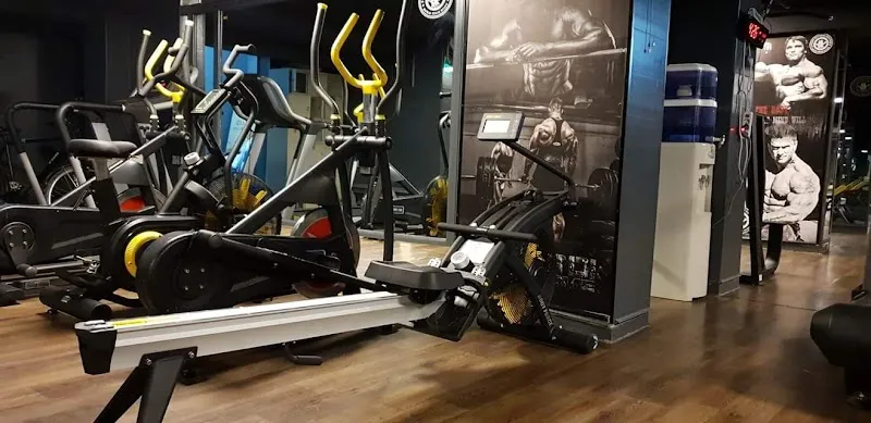 Body Fitness Center