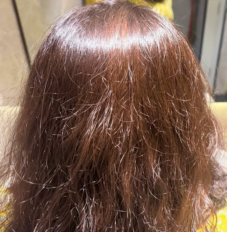 Lakme Salon in Hemu Kalani Marg,Chembur East,Mumbai