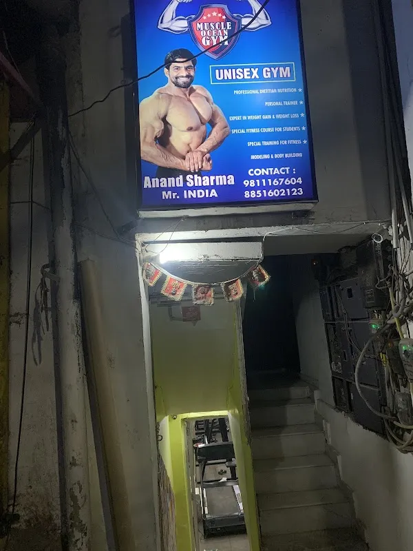 Muscle Ocean Gym