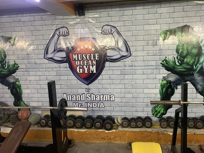 Muscle Ocean Gym