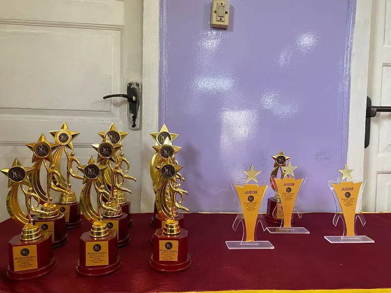 MS dance academy