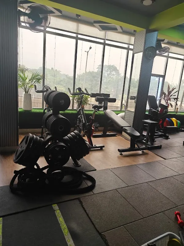 THEXGYM