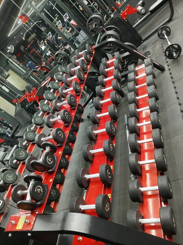 FITENCITY GYM 3