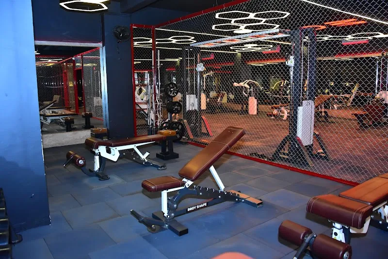 Fitness Alley Akola