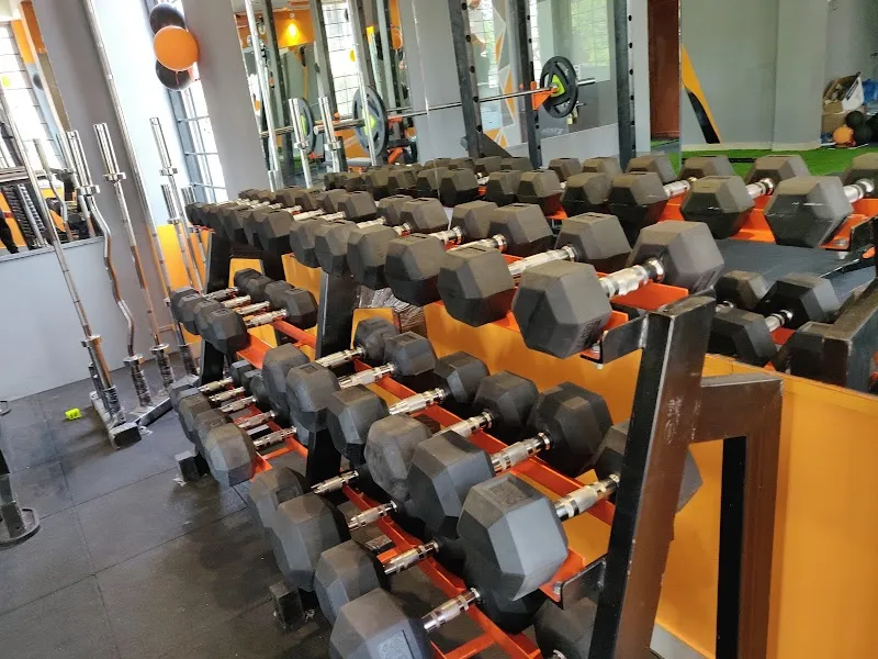 Fit-Wit™ Alpha Fitness Studio