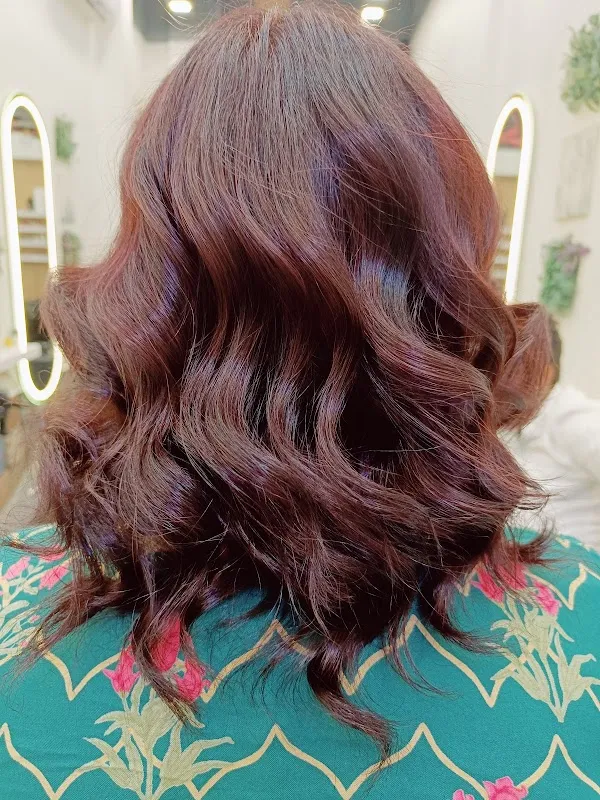 ELENOR SALON