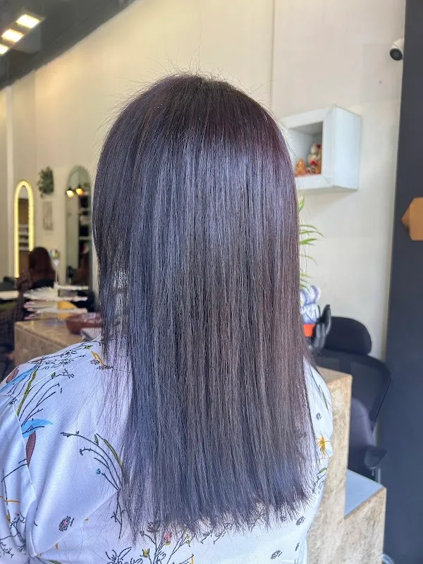 ELENOR SALON