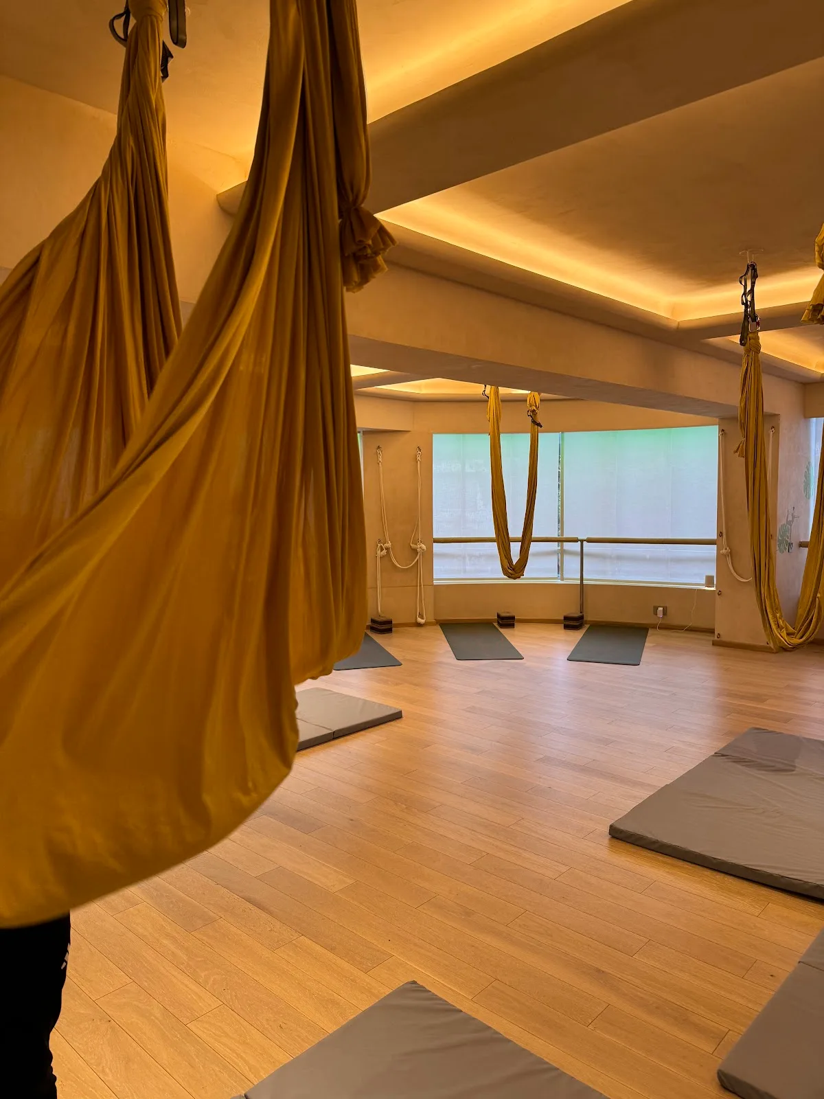 Ayam Yoga