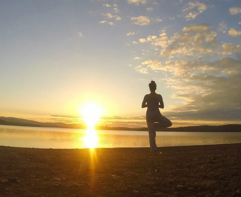 Yogalyptus