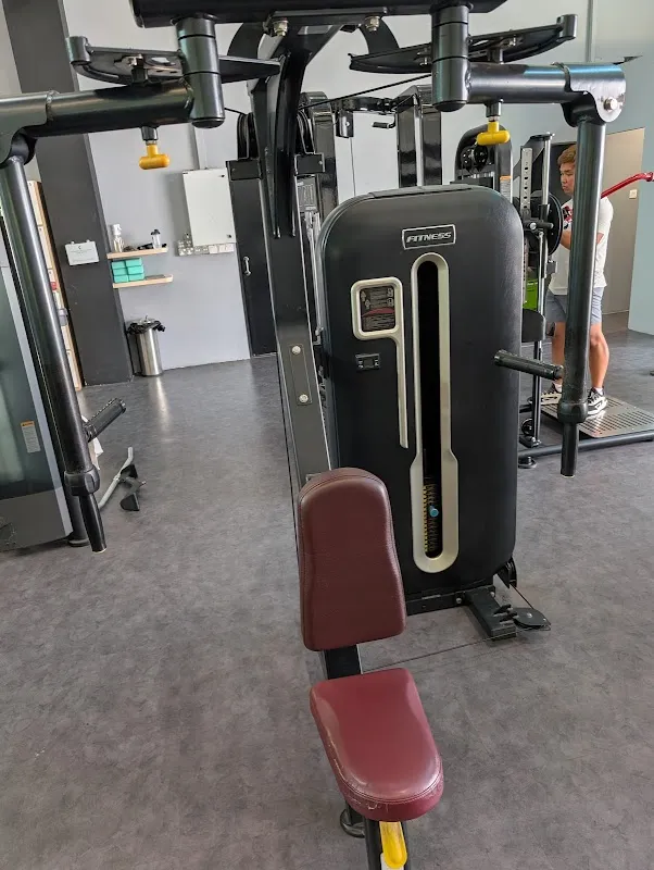 Tree Fitness