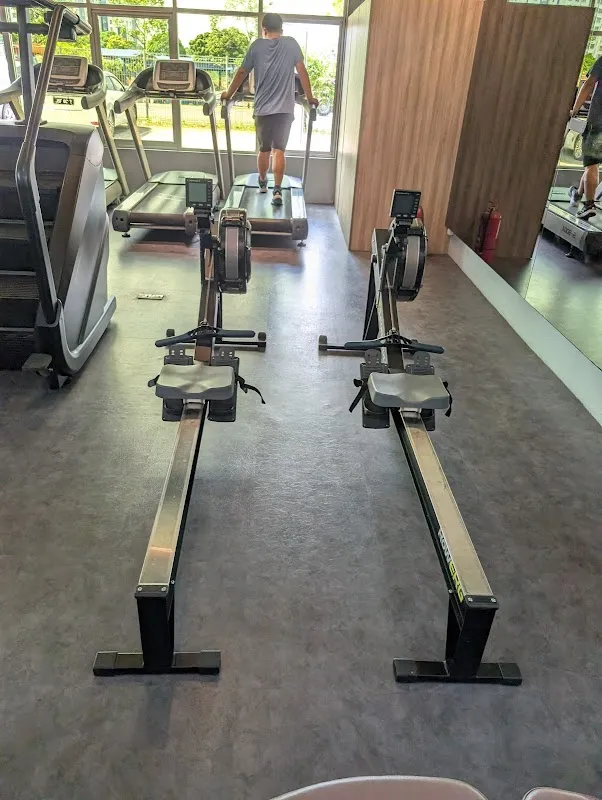 Tree Fitness